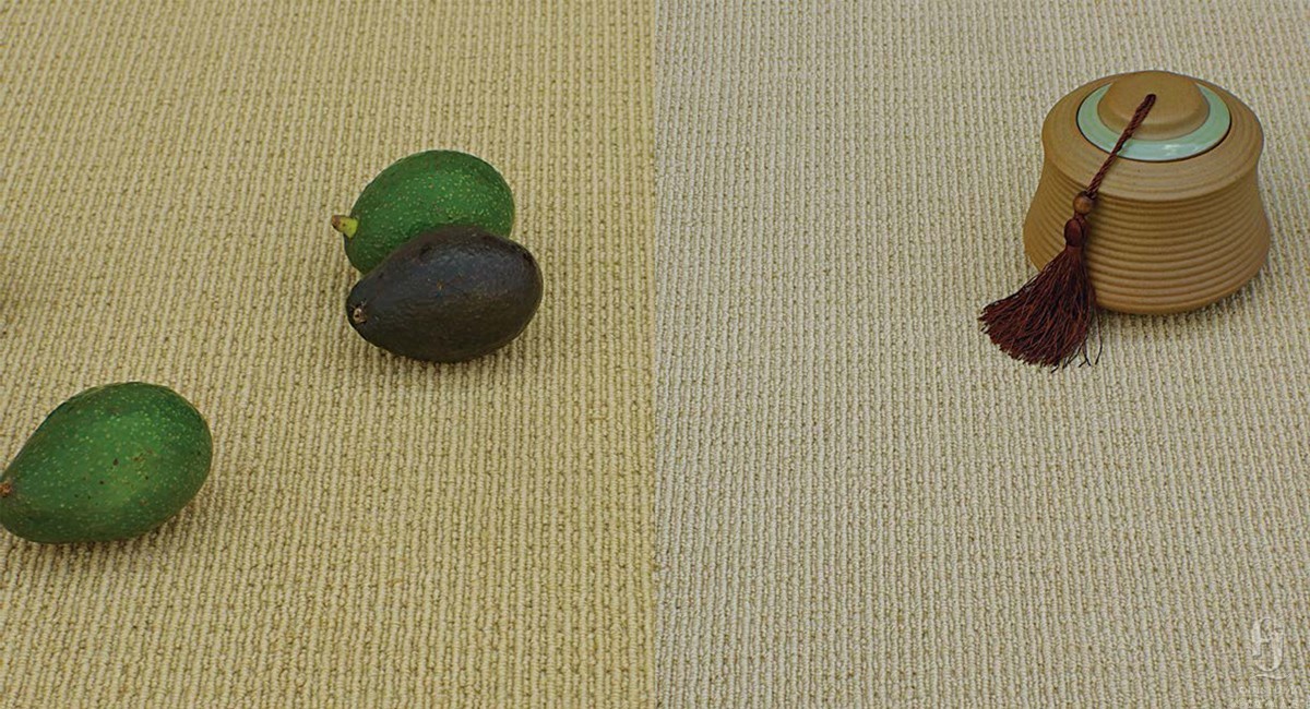 纯色羊毛圈绒提花系列